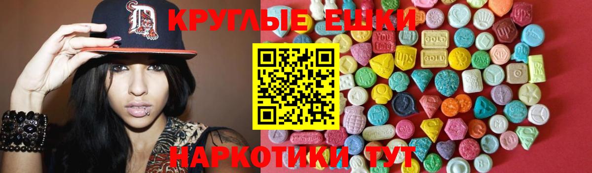 Ecstasy бентли Гай