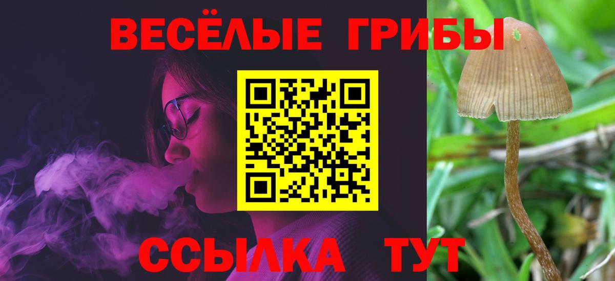 Гай  Псилоцибиновые грибы мицелий  где продают наркотики  Псилоцибиновые грибы Cubensis  Вход с VPN 