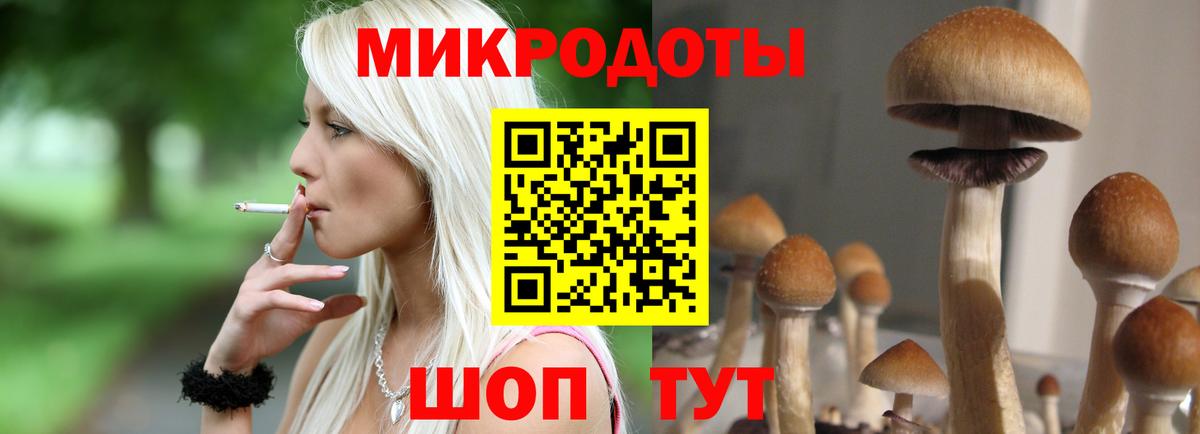 Псилоцибиновые грибы Psilocybine cubensis Гай